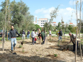 Parque Multiusos da Sobreda recebe 2.ª microfloresta do concelho 