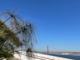 Visita Orientada a O CHÃO DAS ARTES – JARDIM BOTÂNICO