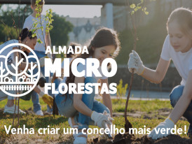 Microflorestas