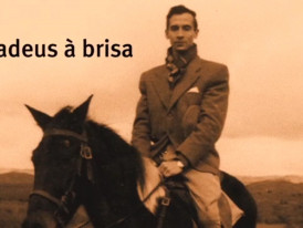Adeus à Brisa