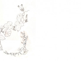 Desenho no Jardim - Círculo vegetal (desenho de Sara Simões)