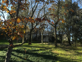 Visita Orientada a O CHÃO DAS ARTES – JARDIM BOTÂNICO