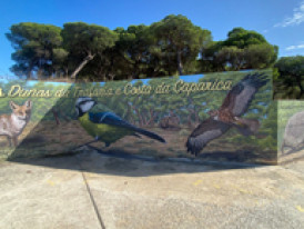 Mural Mata Nacional das Dunas da Trafaria e Costa da Caparica