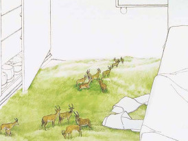 Sessão de Desenho na Casa com Mário Linhares (desenho de Wilma Martins - pormenor)