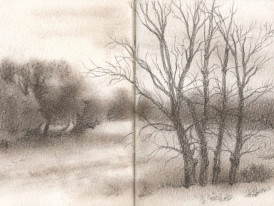 Desenho no Jardim (desenho de Sara Simões)