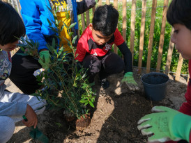 Ação de manutenção microfloresta Parque Urbano das Quintinhas