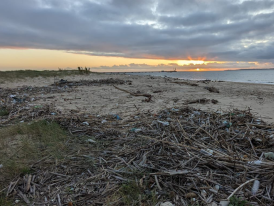 Limpeza Praia_2_2024