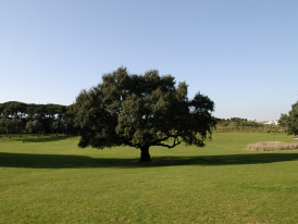 Parque da Paz
