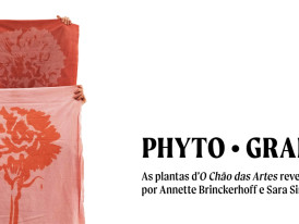 PHYTO · GRAPHIAS As plantas d’O Chão das Artes reveladas por Annette Brinckerhoff e Sara Simões