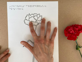 mãos a tactear desenho em relevo de um cravo
