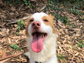 Benny