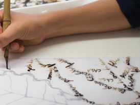 Residências artísticas de verão — Herbário Criativo XIII: PHYTO . GRAPHIAS n’O Chão das Artes