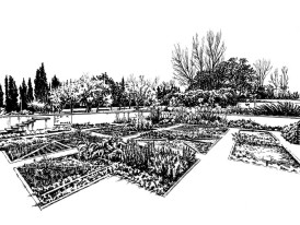 Jardim dos Pintores - desenho de Sara Simões