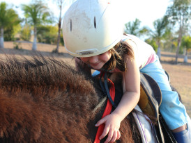 cavalo_solar