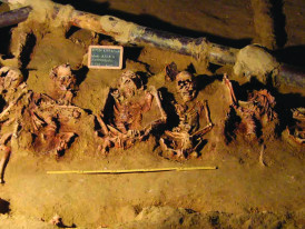ERMIDA_DO_ESPIRITO_SANTO