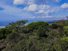 Arriba Fóssil Paisagem