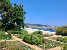 Visita Orientada a O CHÃO DAS ARTES – JARDIM BOTÂNICO