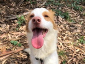 Benny