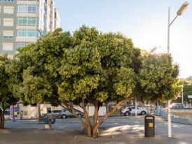 praça s. joao batista