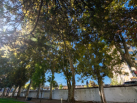 museu da cidade