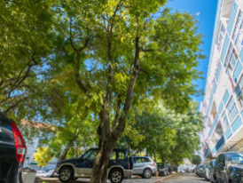rua eduardo