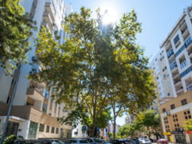 rua galileu saude correia