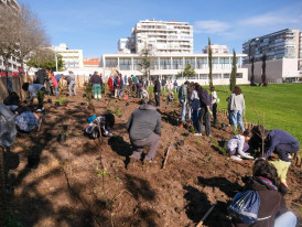 Microfloresta