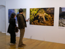 exposição