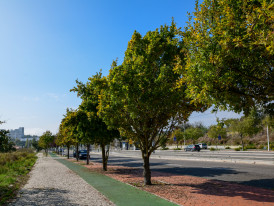 Ciclovia Monte da Caparica