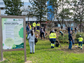 Microfloresta Parque Comandante Júlio Ferraz