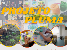 Projeto Pluma