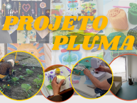 Projeto Pluma