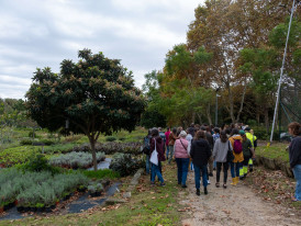 Workshop Horta de Inverno