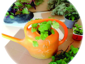 Horta em casa