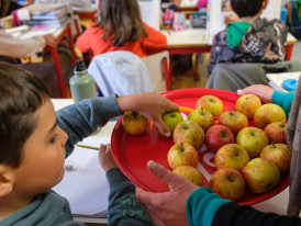 Fruta nas escolas no Dia Mundial da Agricultura