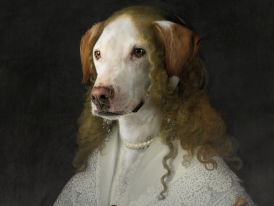 Cão em pose num quadro renascentista