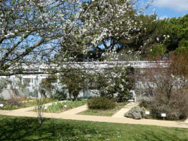 Árvores em flor no Jardim Botânico da Casa da Cerca