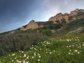 paisagem protegida