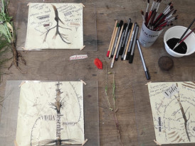 Desenhos de raízes de plantas