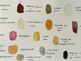 Manchas de tinta vegetal e sua identificação