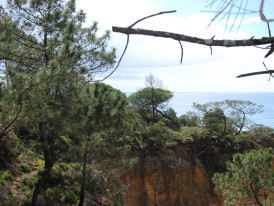 paisagem protegida 