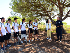 Jovens voluntários numa floresta