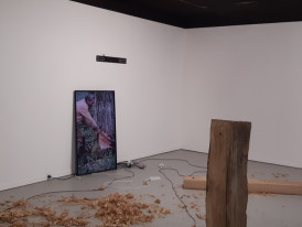 Exposição “Habitat”, do Coletivo Landra