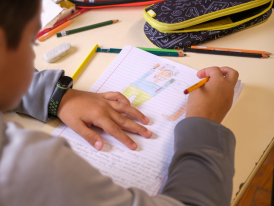 Projetos educativos