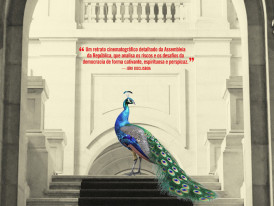 O Palácio de Cidadãos