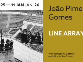 "Line Array", de João Pimenta Gomes