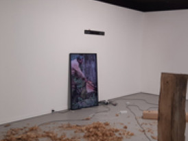 "Exposição “Habitat”, do Coletivo Landra