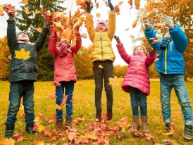 Dança das castanhas