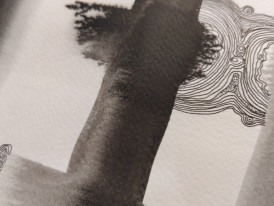 Desenho na Exposição