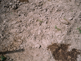 RECITAL_TERRA_DE_INVERNO_CAPUCHOS_NOVEMBRO_2025